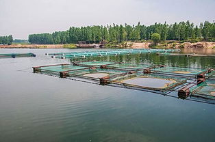 內(nèi)陸水產(chǎn)養(yǎng)殖存在的問題與未來發(fā)展趨勢(shì)